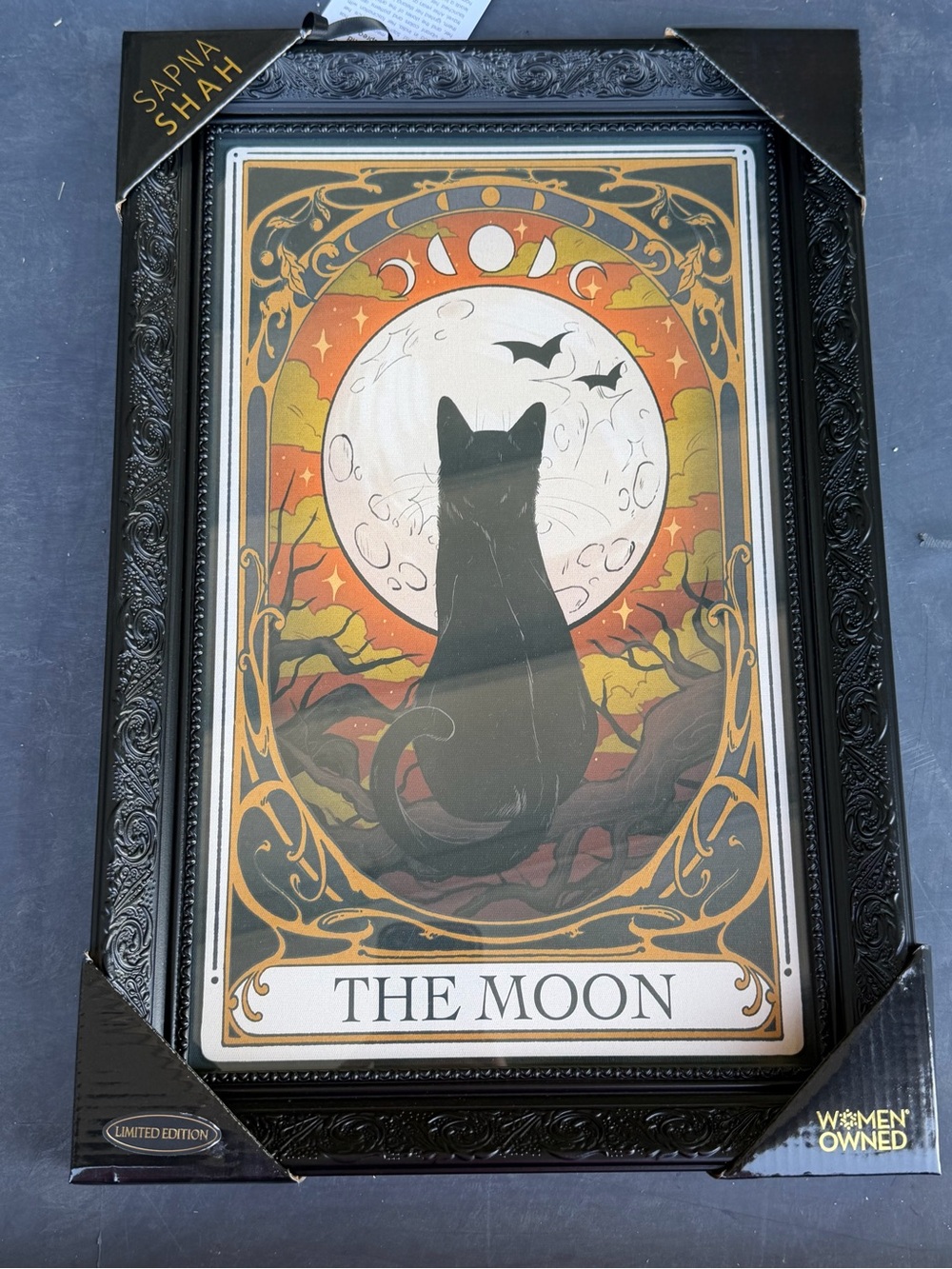 Sapna Shah – The Moon Black Cat Loteria Style 18”x12” Framed Wall Art Print NEW